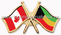 Crossed Flag Lapel Pins