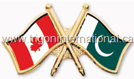 Crossed Flag Lapel Pins
